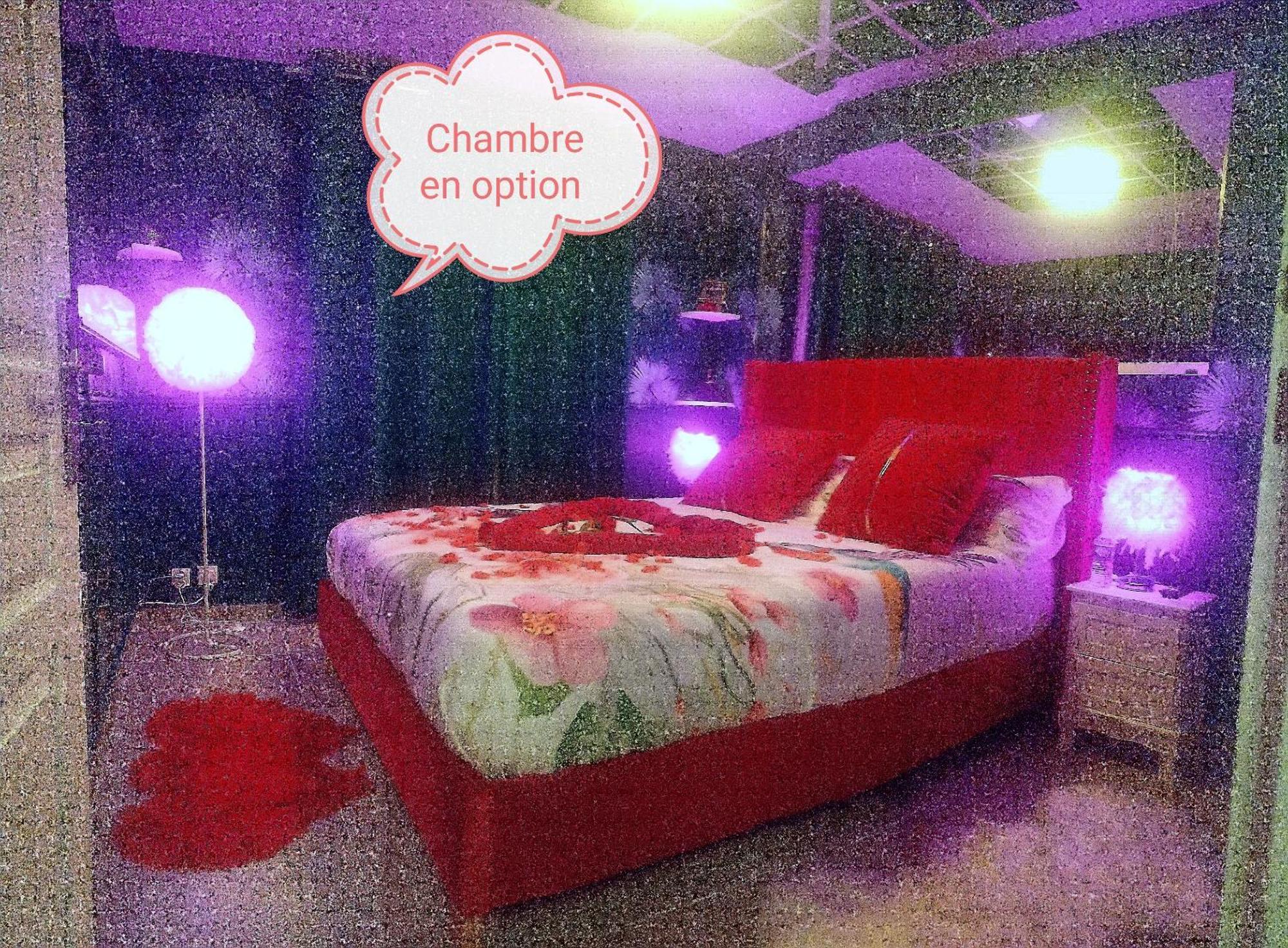 Romantisme Et Glamour 2 Avec Spa , Clim Et Jardin 第戎 外观 照片